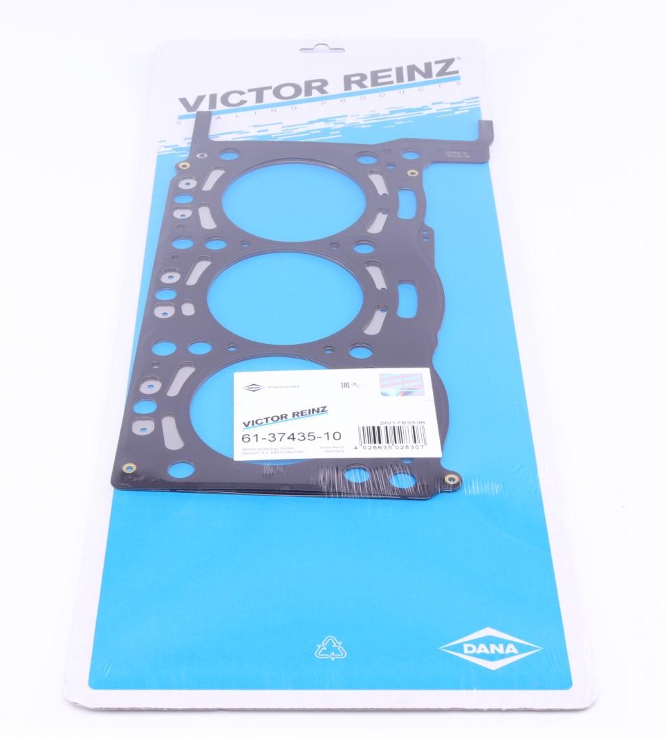 613743510 VICTOR REINZ